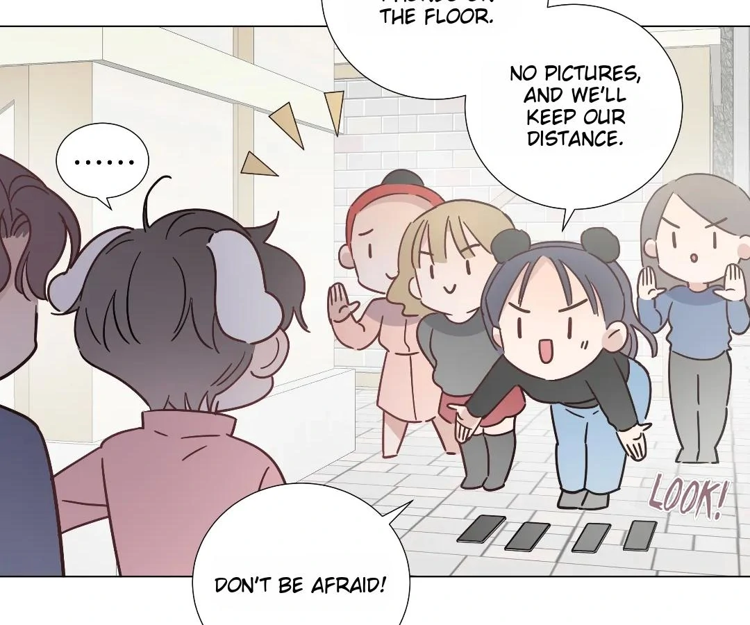 A Cross-Dresser's Triple Proposal Chase Chapter 65 page 19 - 