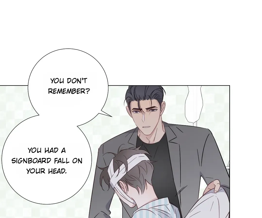 A Cross-Dresser's Triple Proposal Chase Chapter 78 page 47 - 