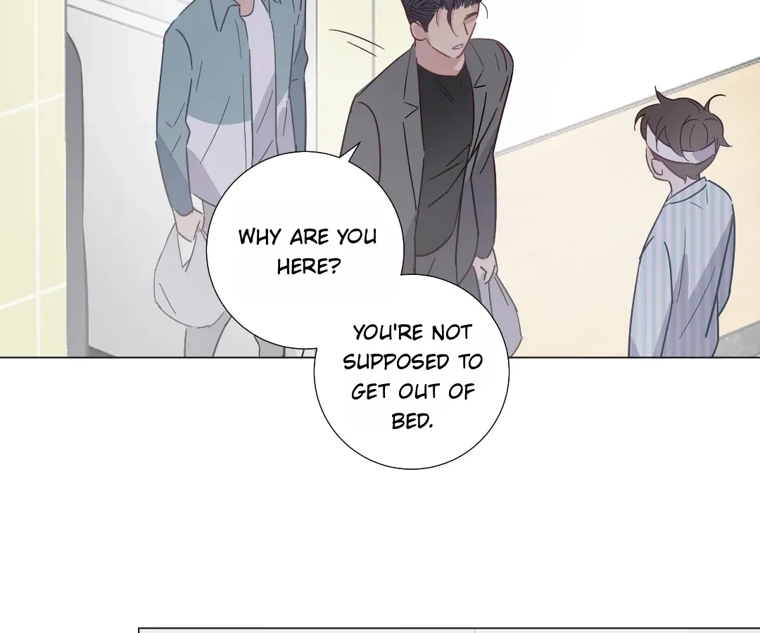 A Cross-Dresser's Triple Proposal Chase Chapter 79 page 52 - 
