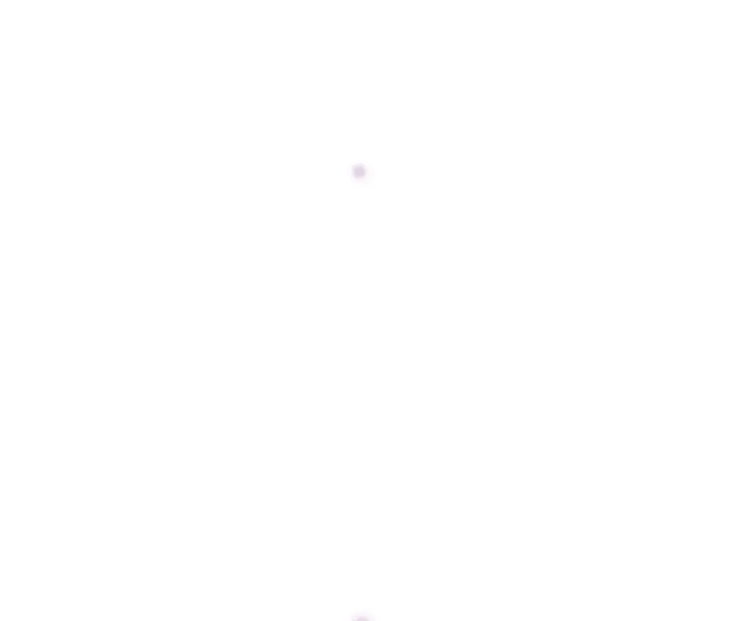 A Cross-Dresser's Triple Proposal Chase Chapter 82 page 48 - 