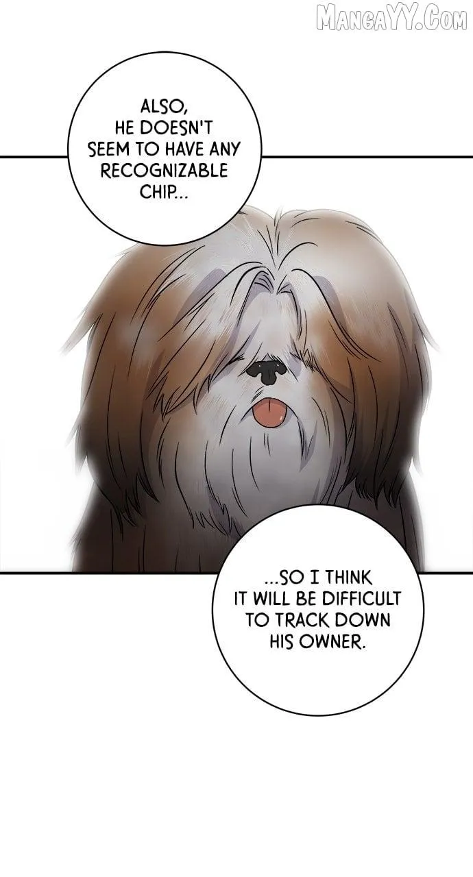 Read A DeadbEAT’s Meal chapter 198 image 13 on Lezhin
