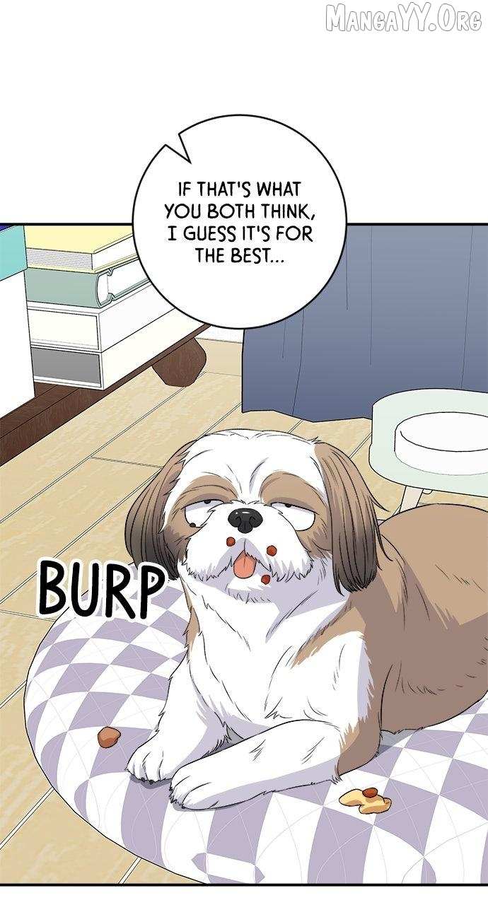 Read A DeadbEAT’s Meal chapter 209 image 39 on Lezhin