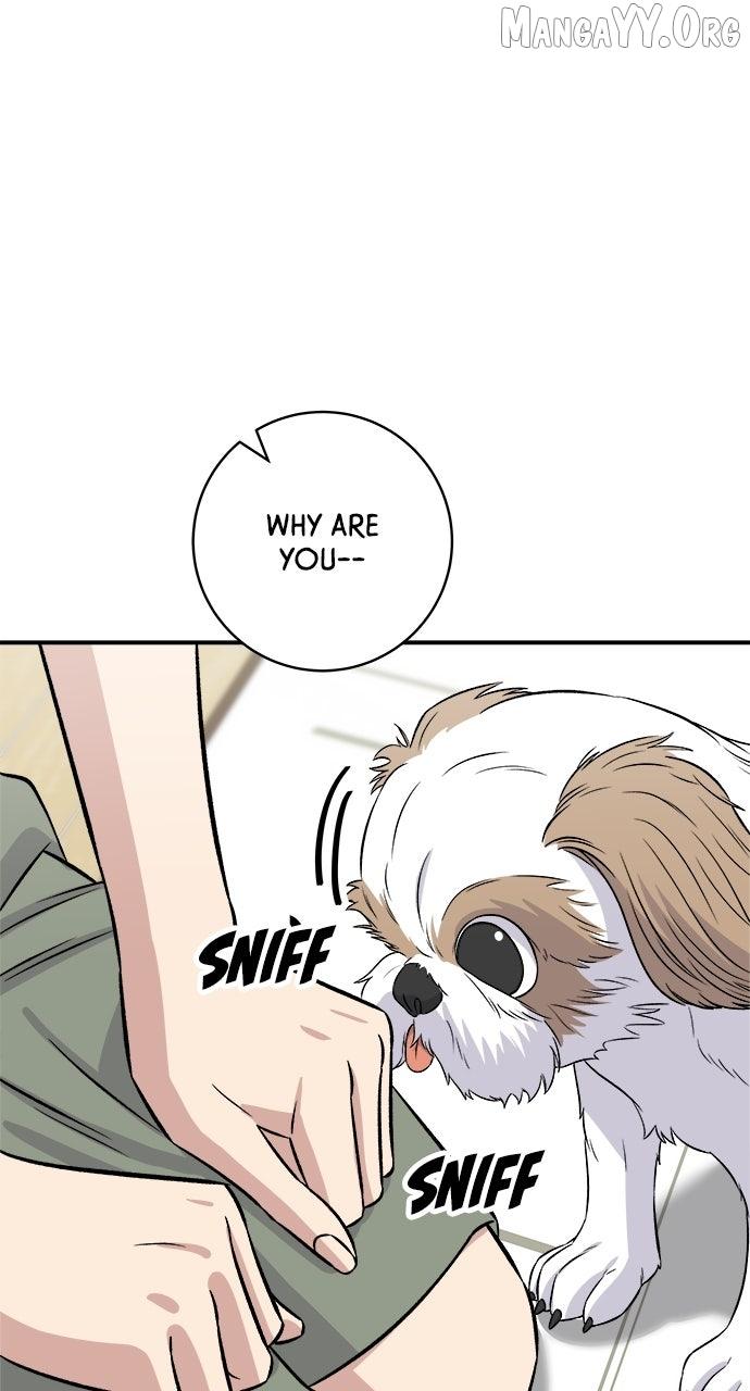 Read A DeadbEAT’s Meal chapter 214 image 5 on Lezhin