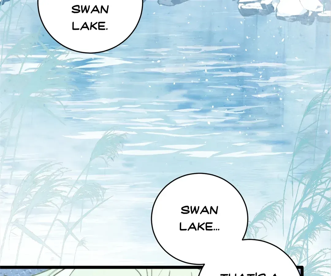 Read A Desolate Swan Lake chapter 41 image 14 on Lezhin