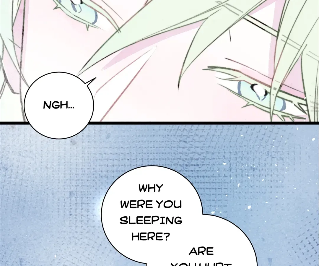 Read A Desolate Swan Lake chapter 41 image 3 on Lezhin