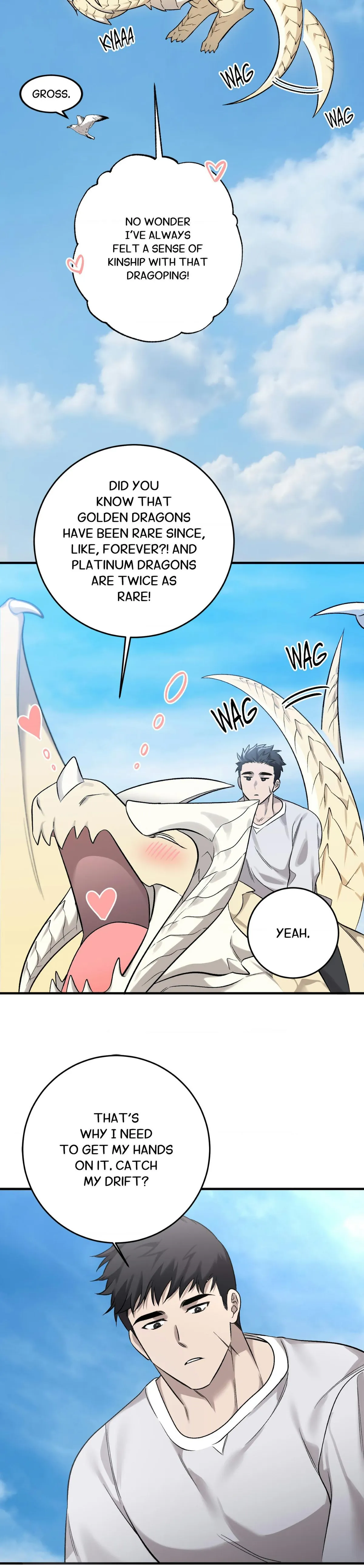 Read A Dragon