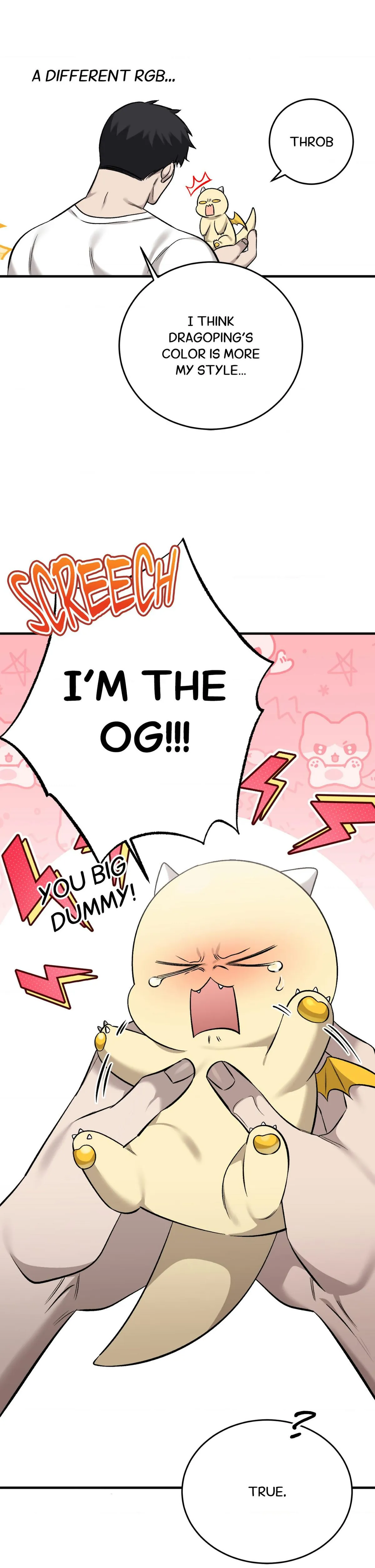 Read A Dragon