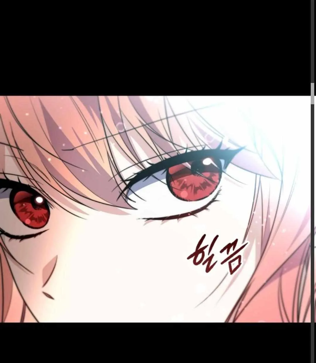 Read A Fortune-Telling Princess chapter 39.5 image 14 on Lezhin