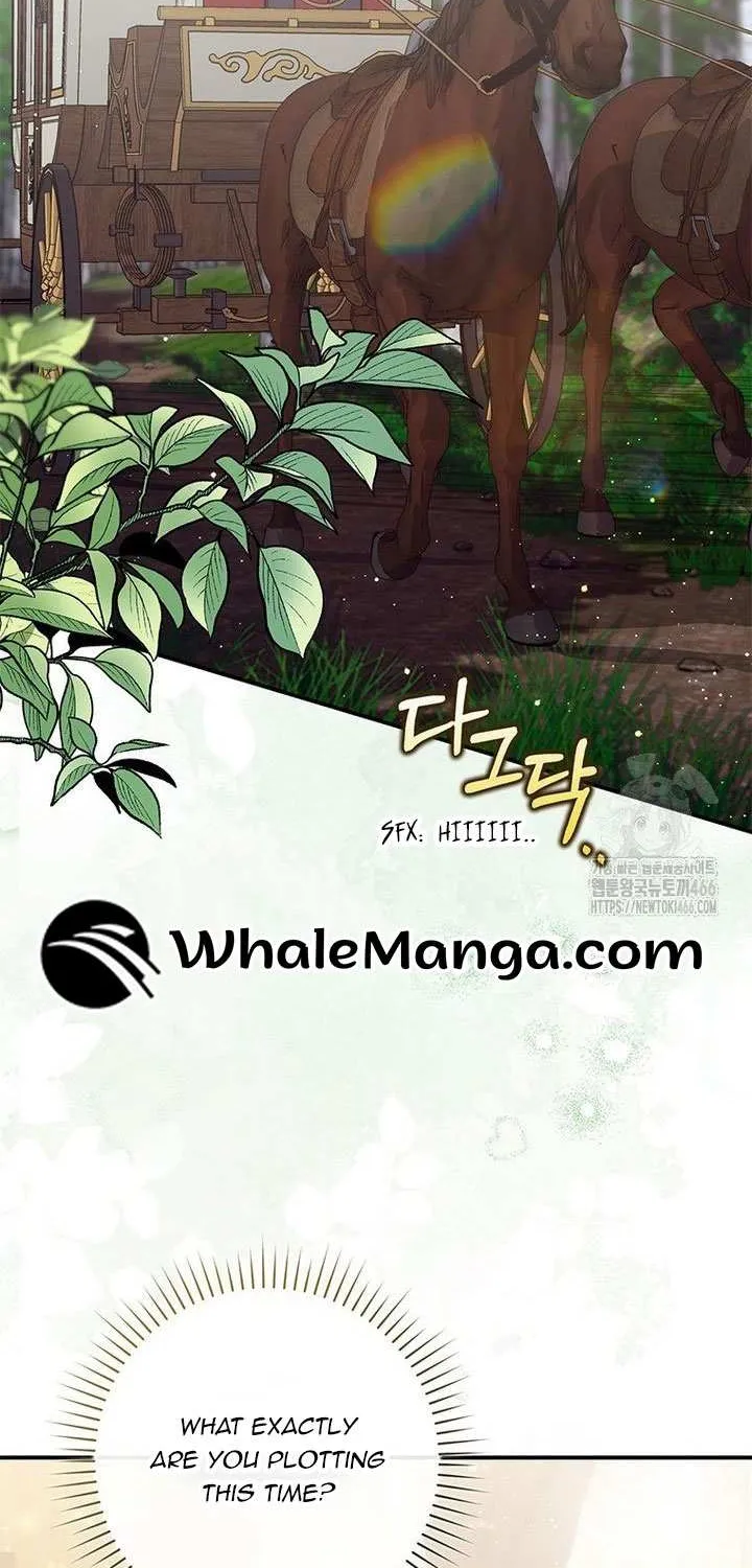 Read A Fortune-Telling Princess chapter 80 image 1 on Lezhin