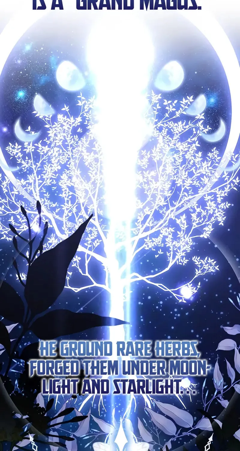 Read A Genius Wizard Who Breaks Boundaries chapter 27 image 120 on Lezhin