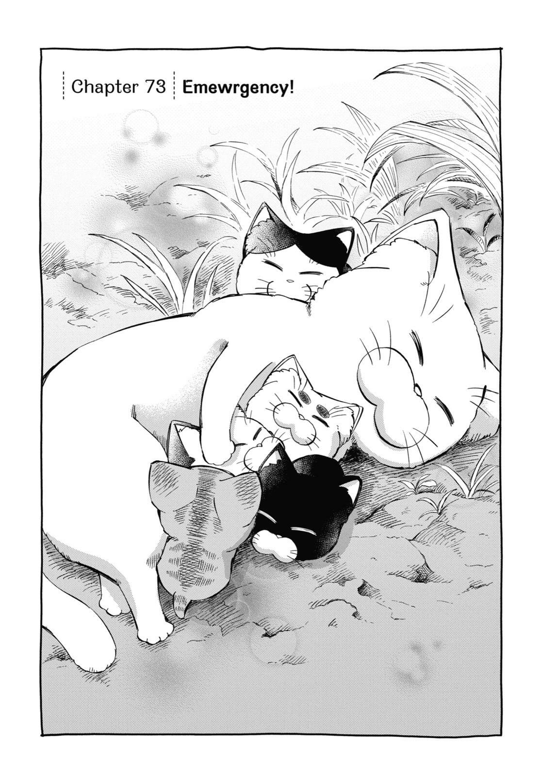 Read A Man and His Cat chapter 0 image 142 on Lezhin