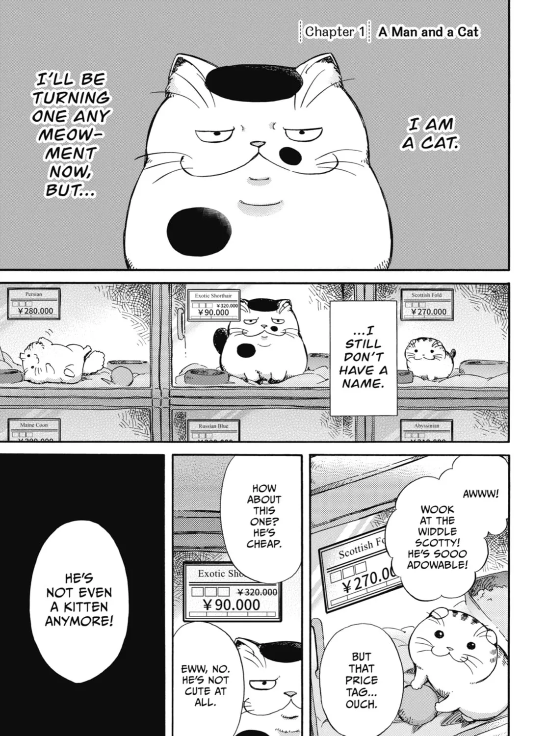 Read A Man and His Cat chapter 1 image 0 on Lezhin