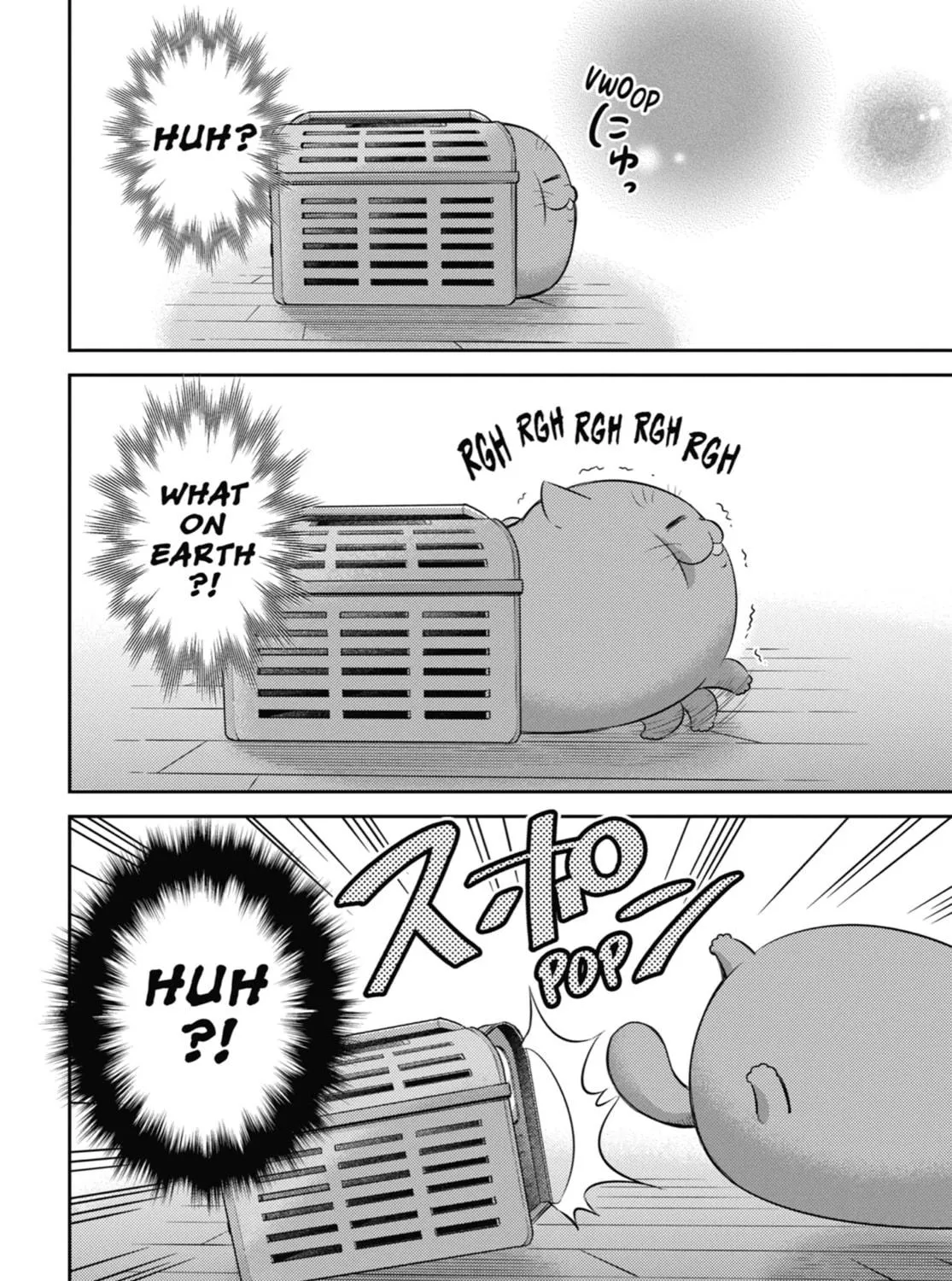 Read A Man and His Cat chapter 105 image 10 on Lezhin