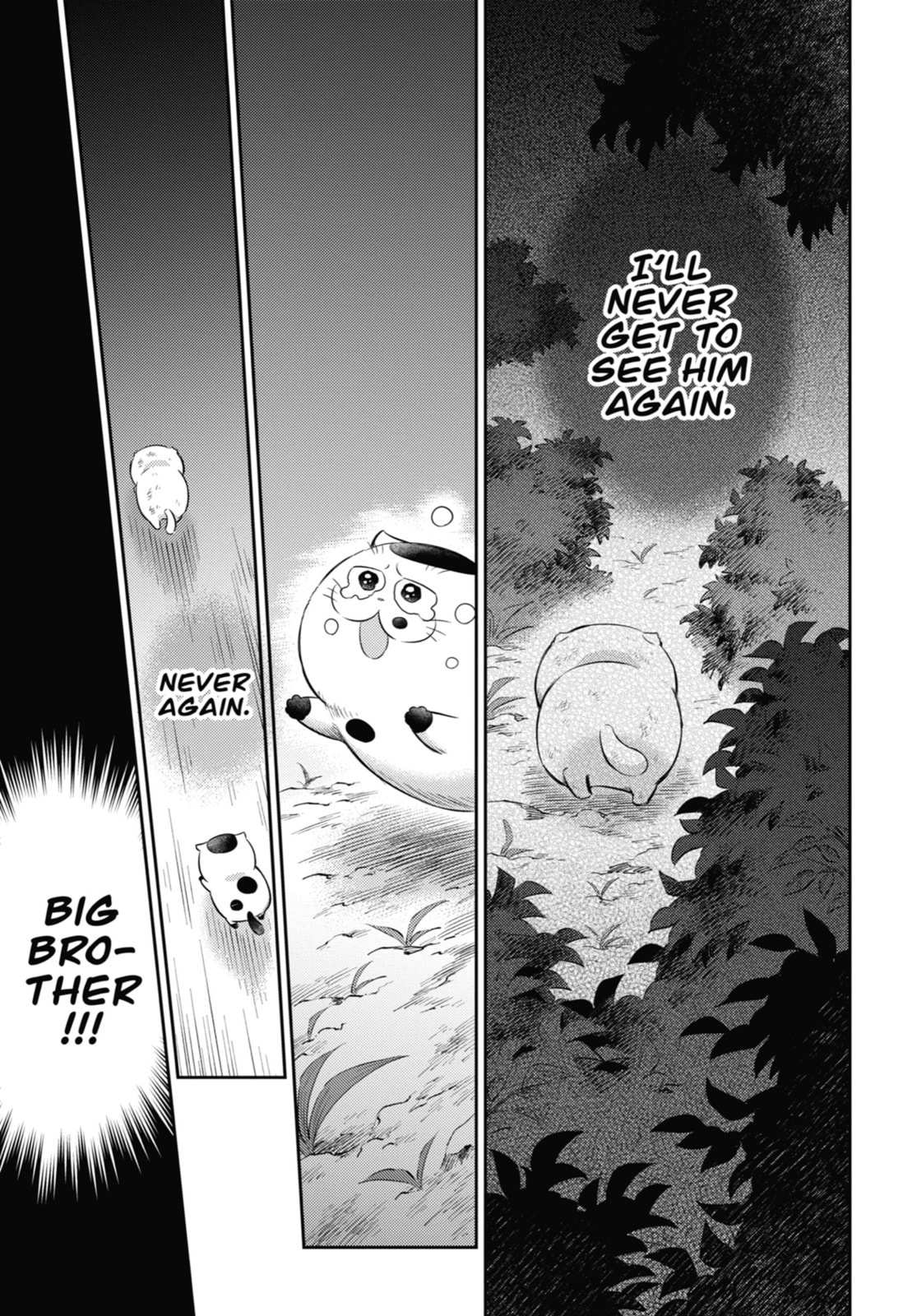 Read A Man and His Cat chapter 115.5 image 18 on Lezhin