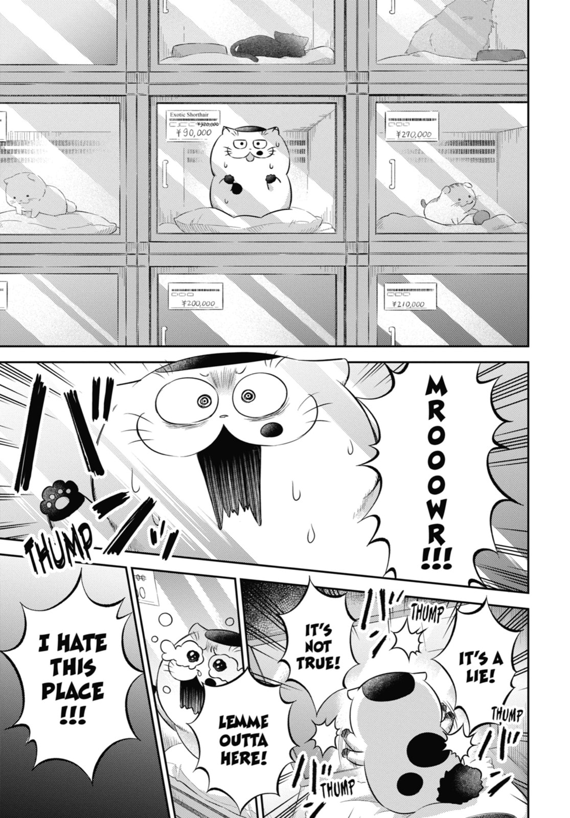 Read A Man and His Cat chapter 115.5 image 20 on Lezhin