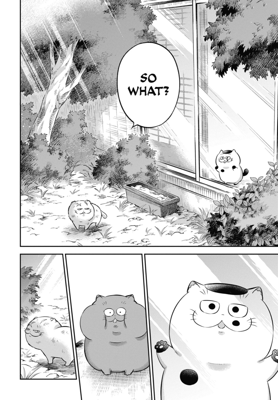 Read A Man and His Cat chapter 115 image 15 on Lezhin