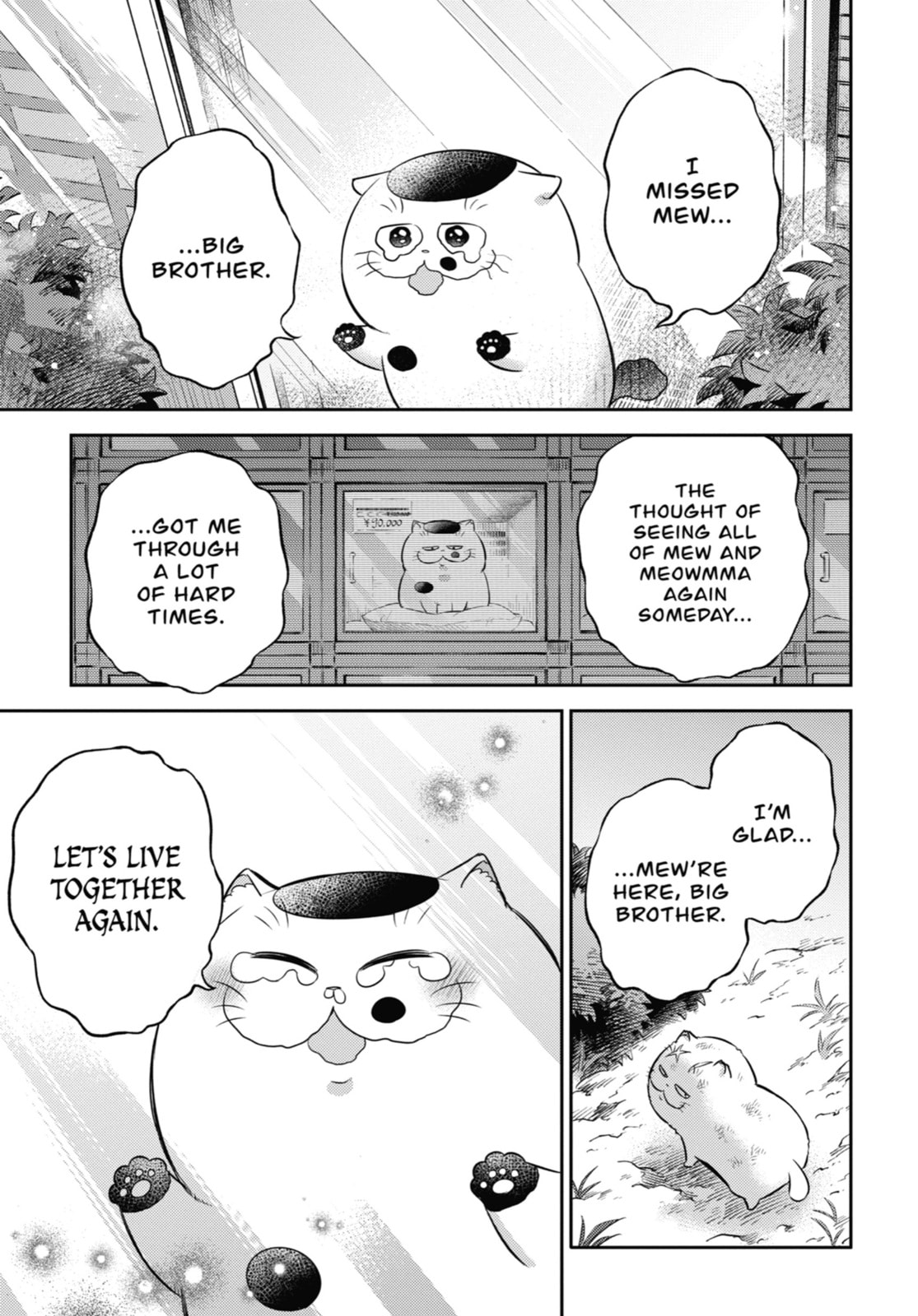 Read A Man and His Cat chapter 115 image 16 on Lezhin