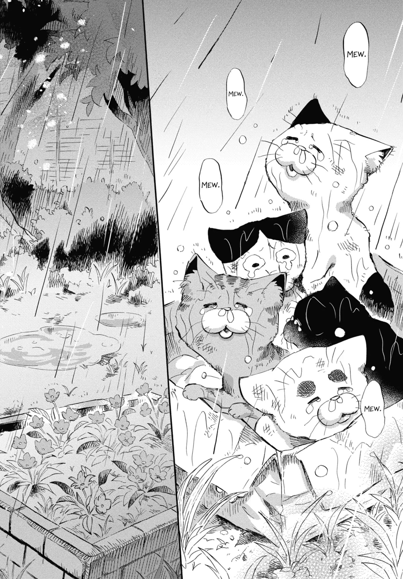 Read A Man and His Cat chapter 118 image 5 on Lezhin