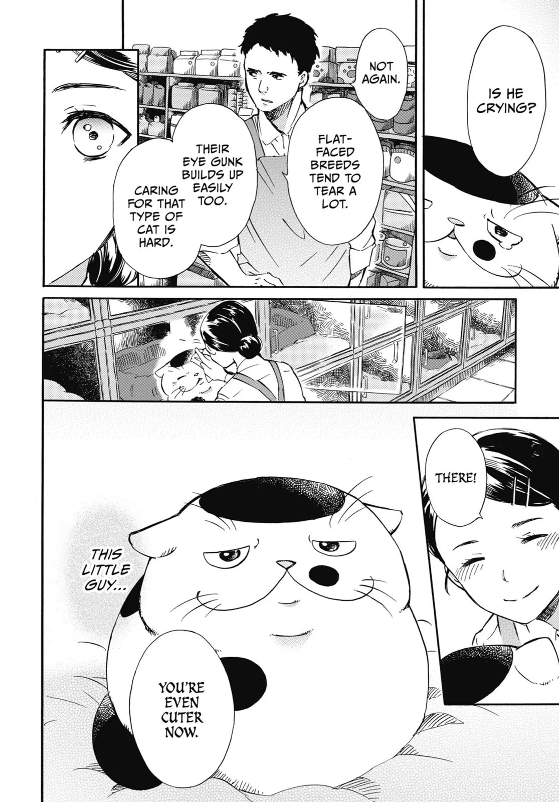 Read A Man and His Cat chapter 15.6 image 3 on Lezhin