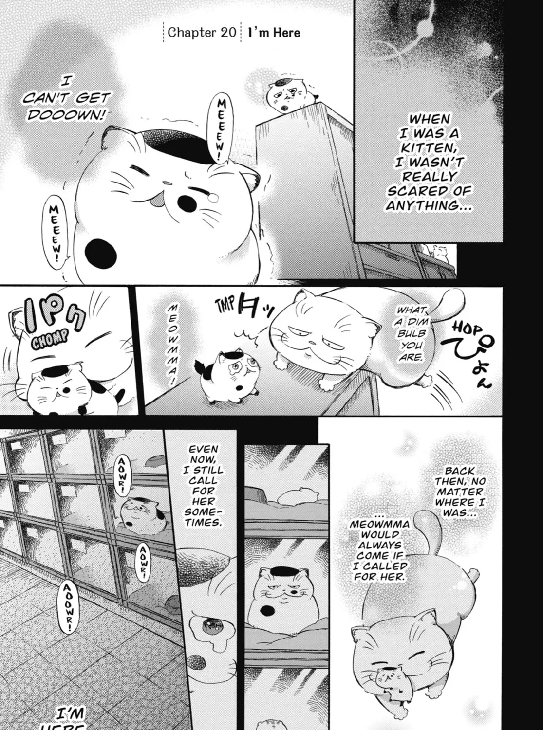 Read A Man and His Cat chapter 20 image 0 on Lezhin