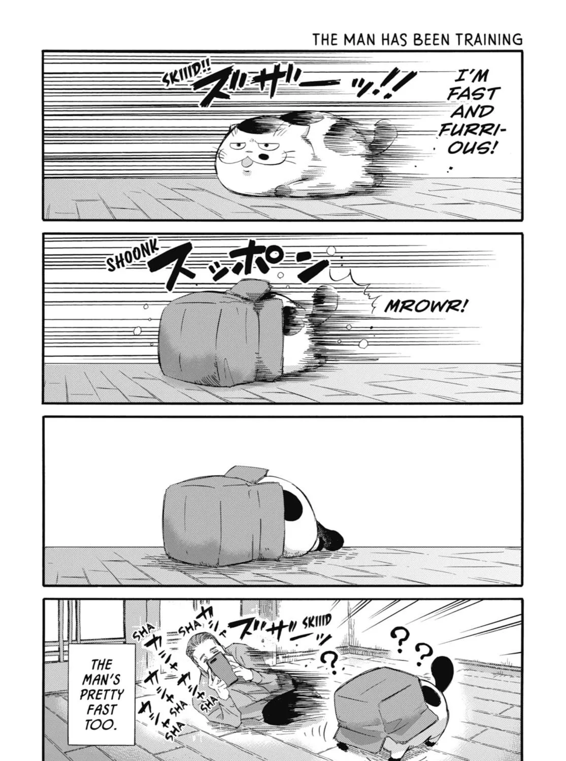 Read A Man and His Cat chapter 32 image 48 on Lezhin