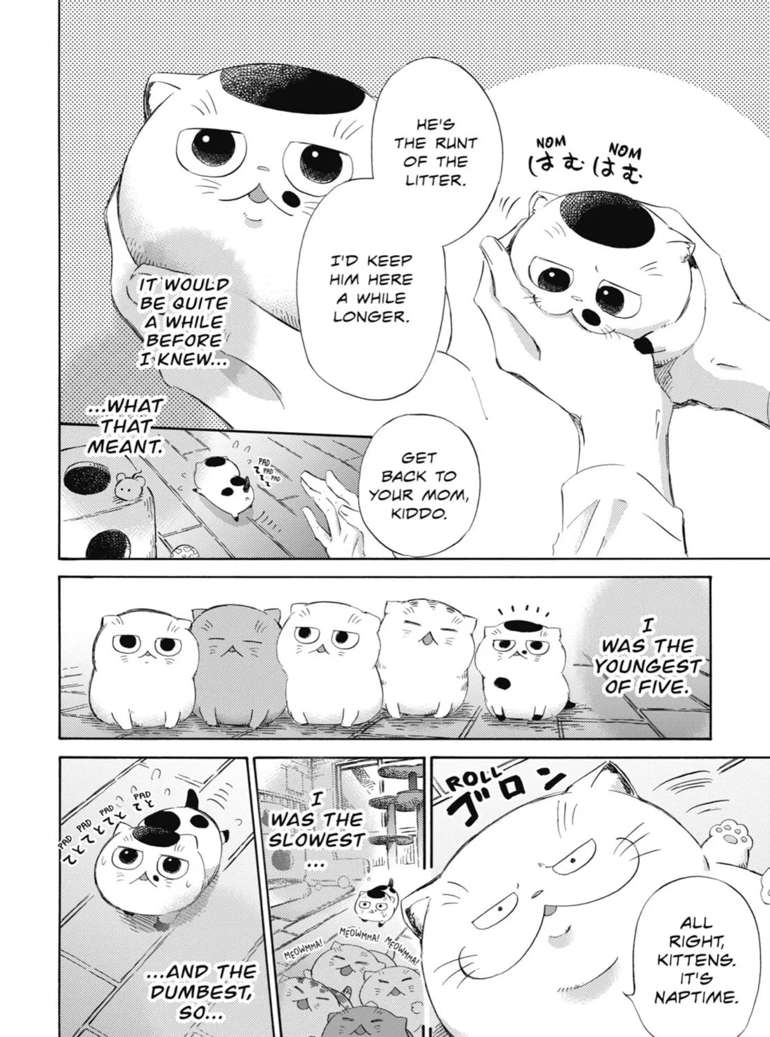 Read A Man and His Cat chapter 36 image 10 on Lezhin