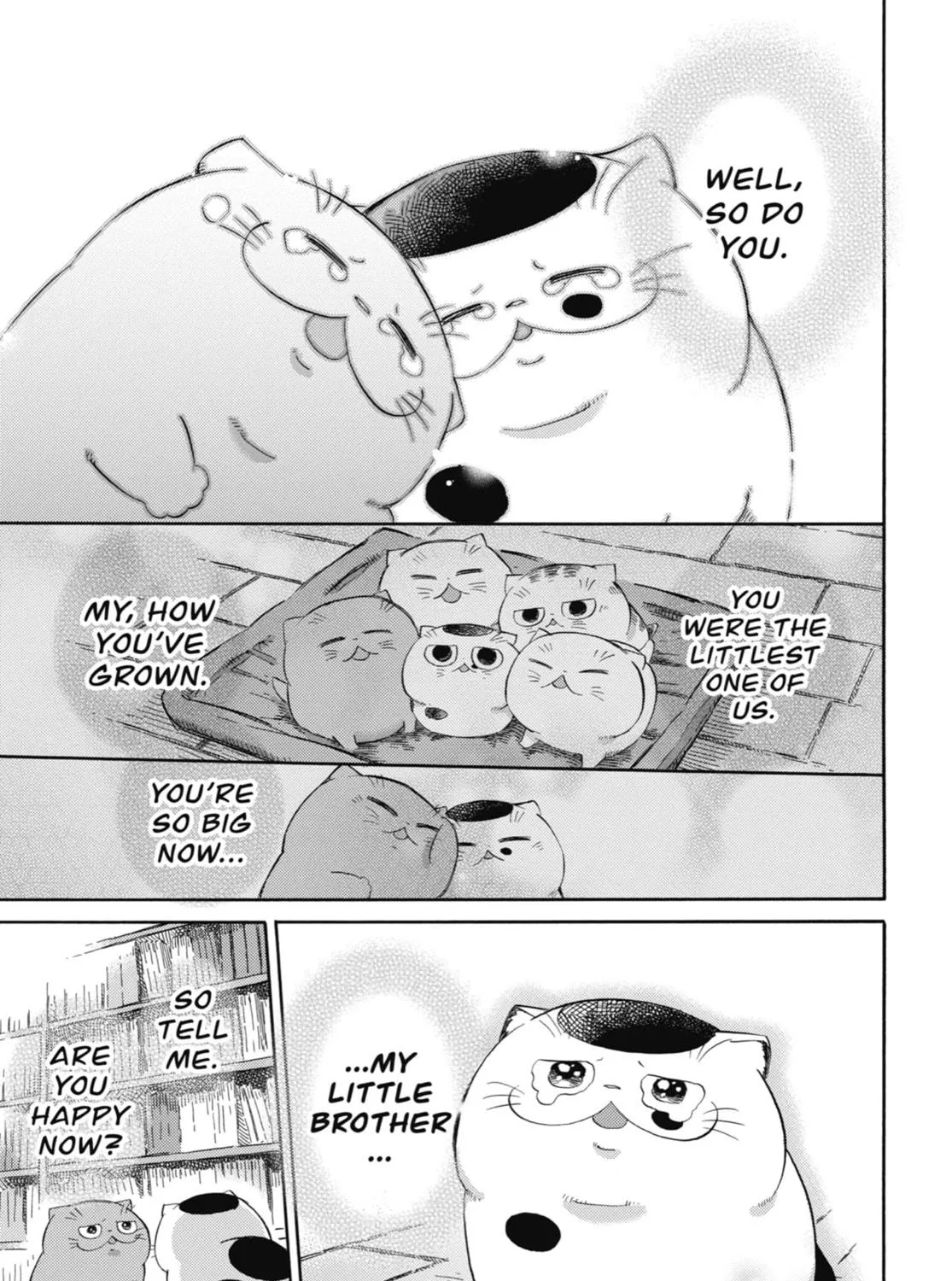 Read A Man and His Cat chapter 42 image 16 on Lezhin