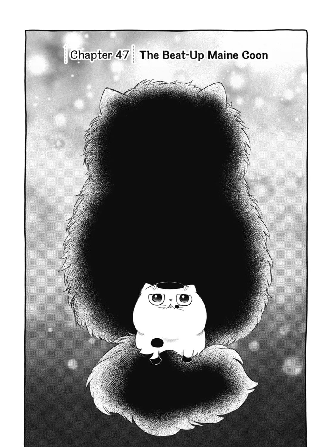 Read A Man and His Cat chapter 47 image 0 on Lezhin