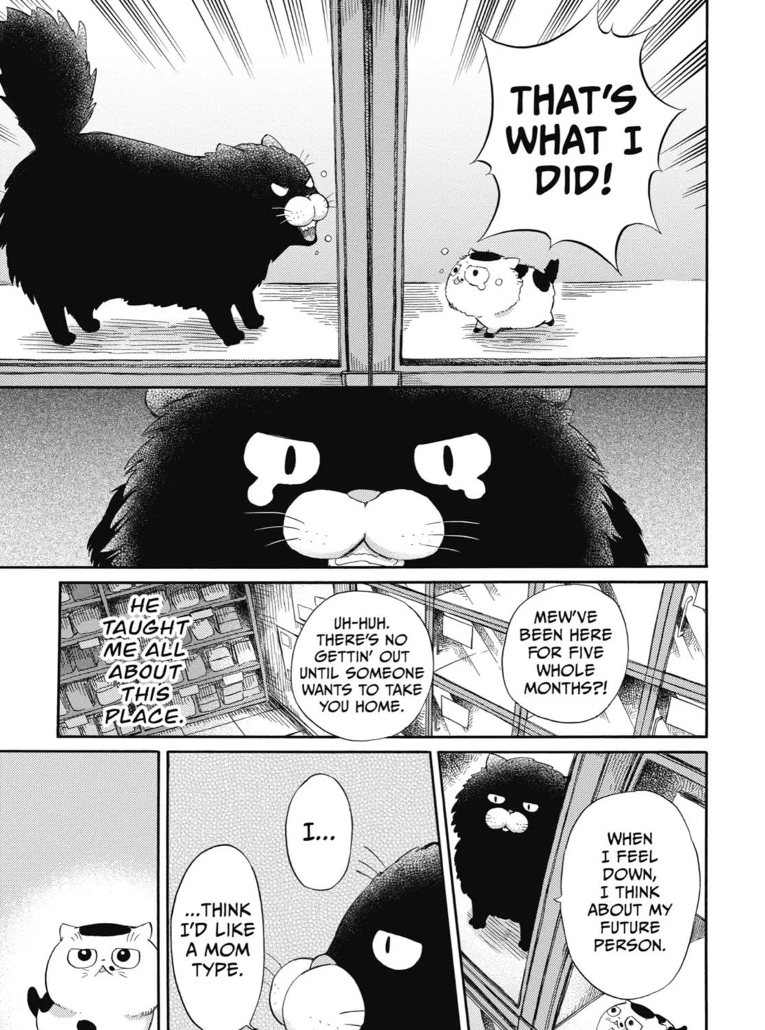 Read A Man and His Cat chapter 47 image 6 on Lezhin