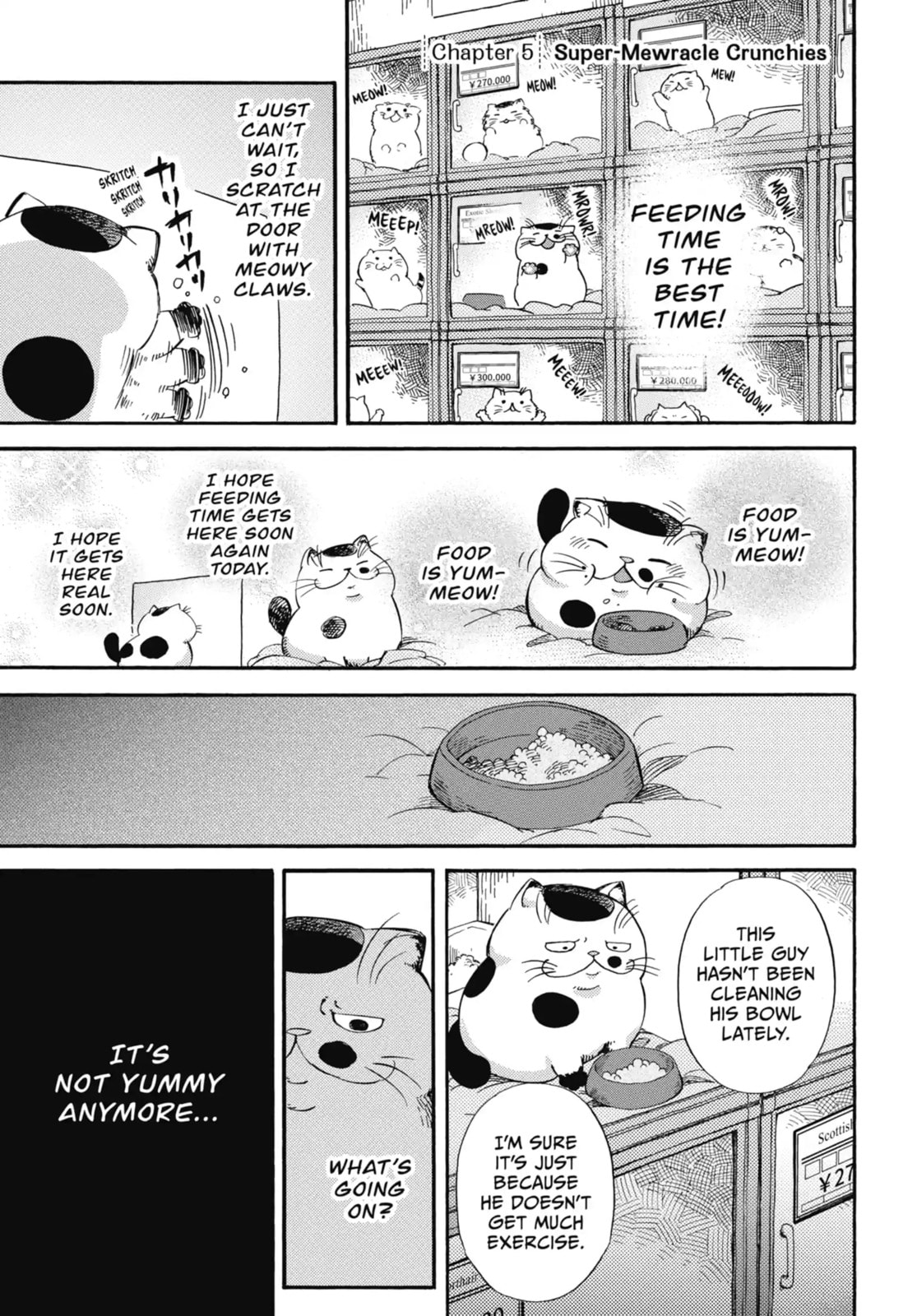 Read A Man and His Cat chapter 5.1 image 0 on Lezhin