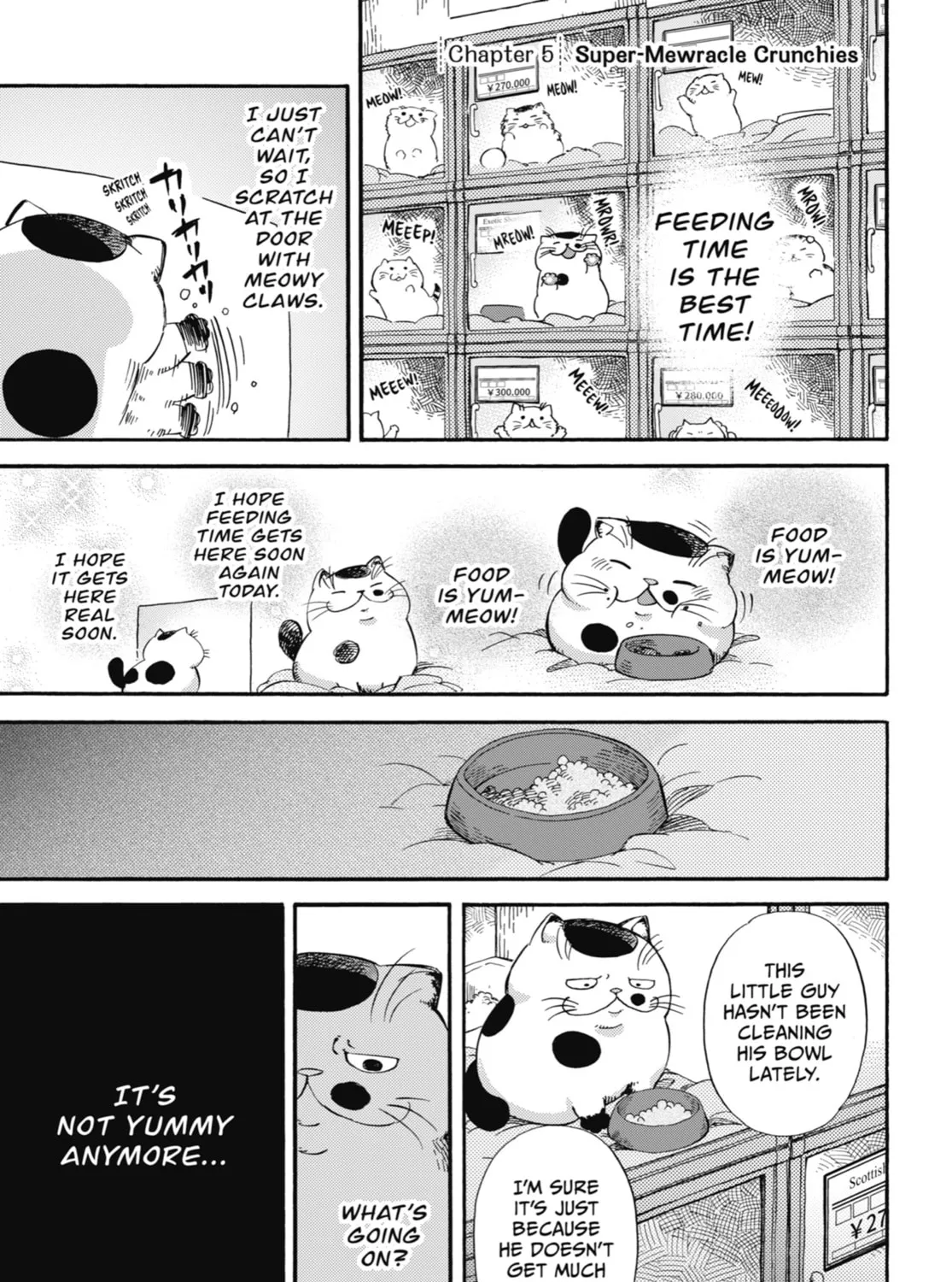 Read A Man and His Cat chapter 5 image 0 on Lezhin