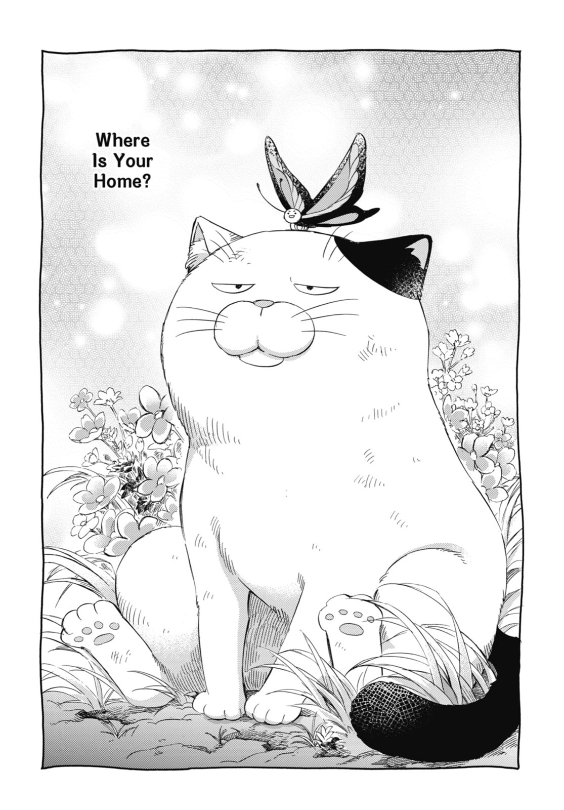 Read A Man and His Cat chapter 56.1 image 0 on Lezhin