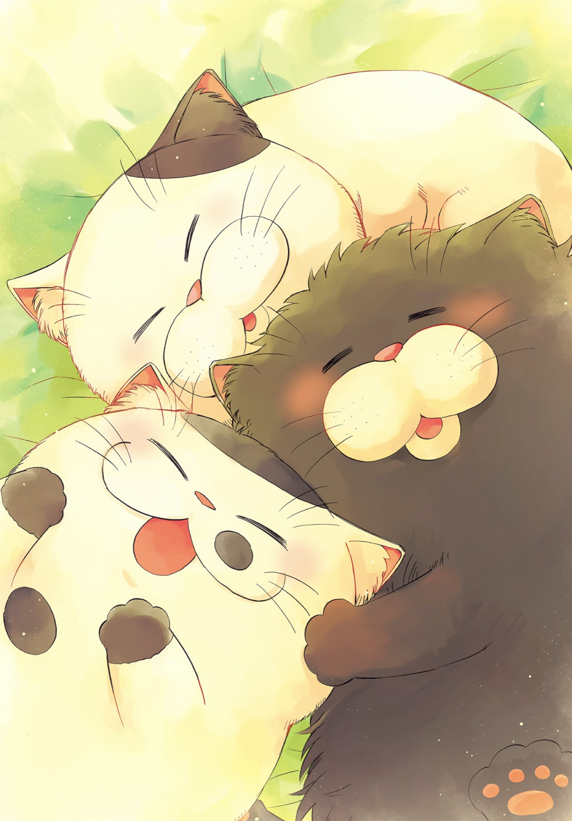 Read A Man and His Cat chapter 56.1 image 12 on Lezhin