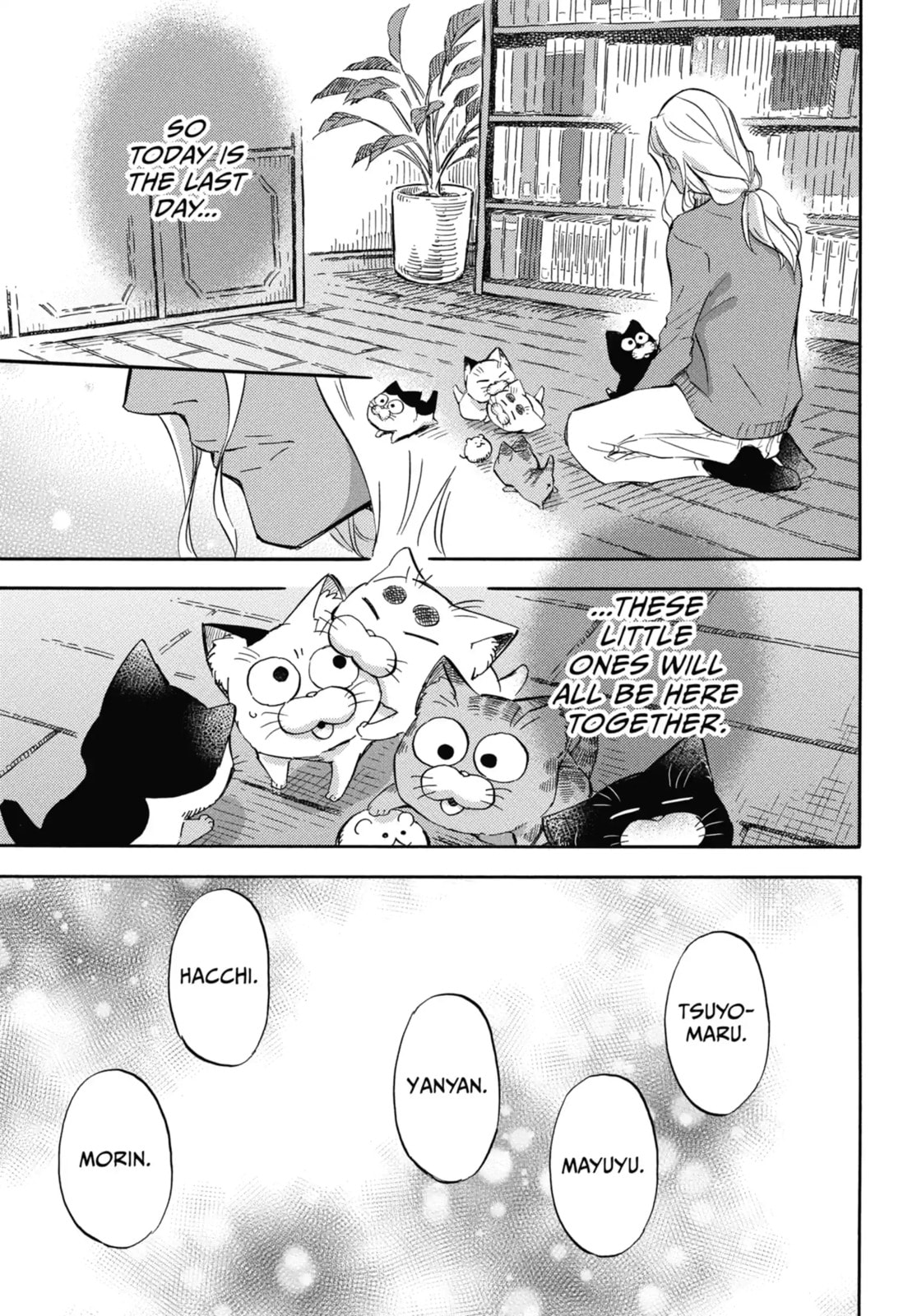 Read A Man and His Cat chapter 71.1 image 6 on Lezhin