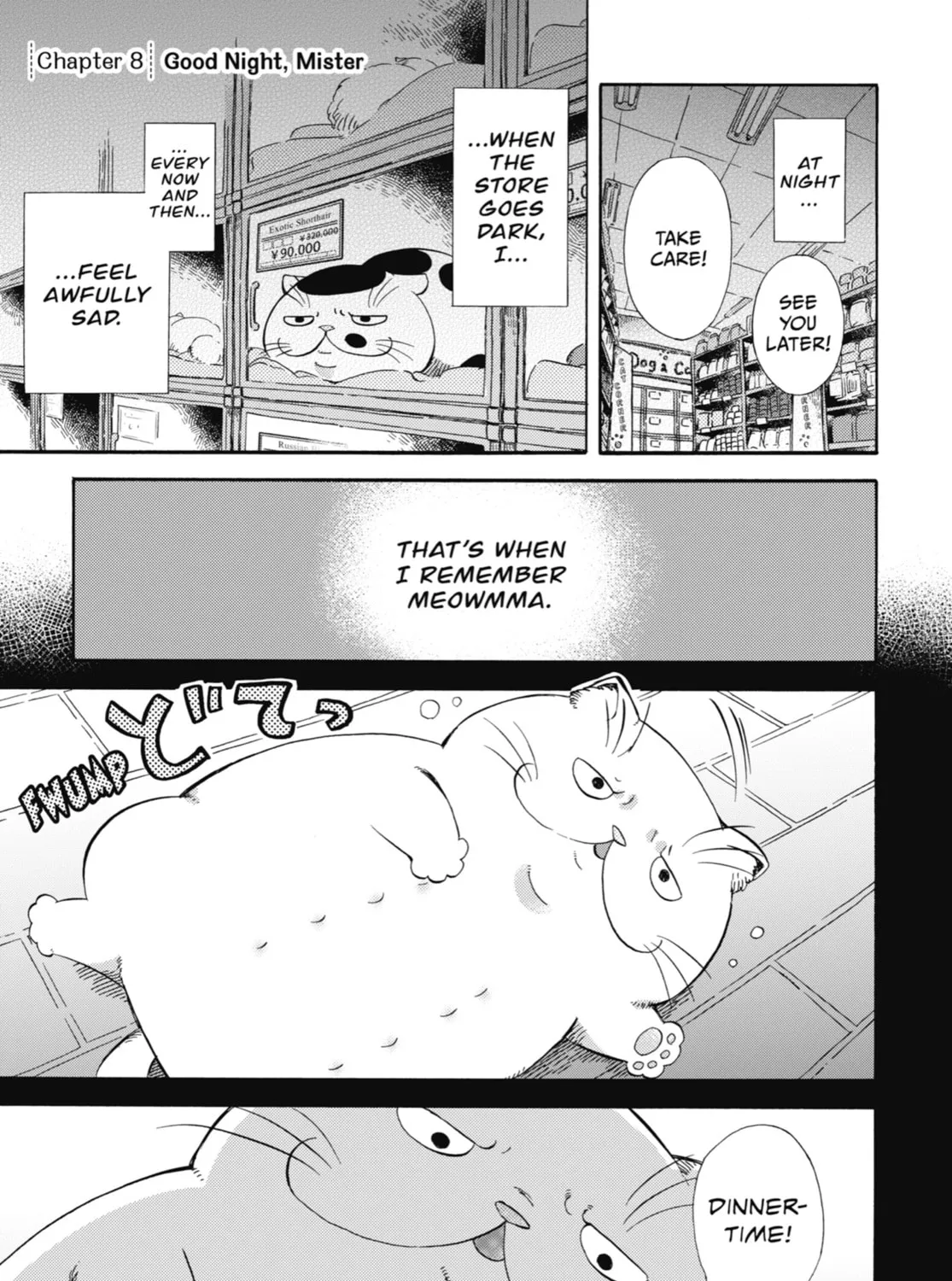 Read A Man and His Cat chapter 8 image 0 on Lezhin