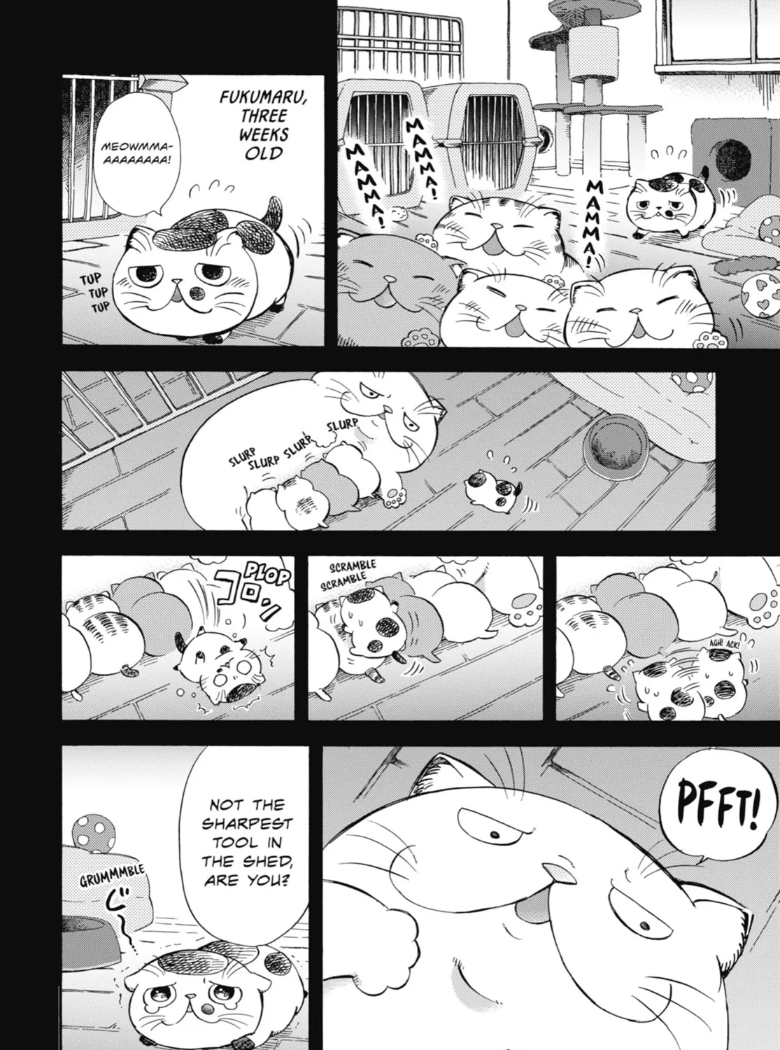 Read A Man and His Cat chapter 8 image 2 on Lezhin