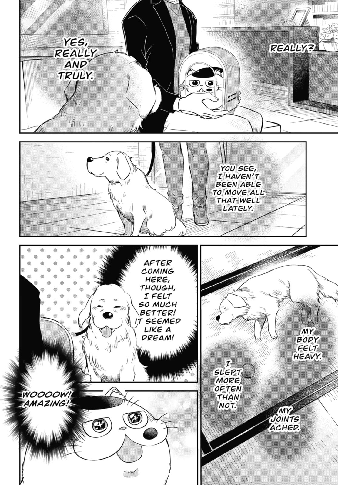 Read A Man and His Cat chapter 81.1 image 4 on Lezhin