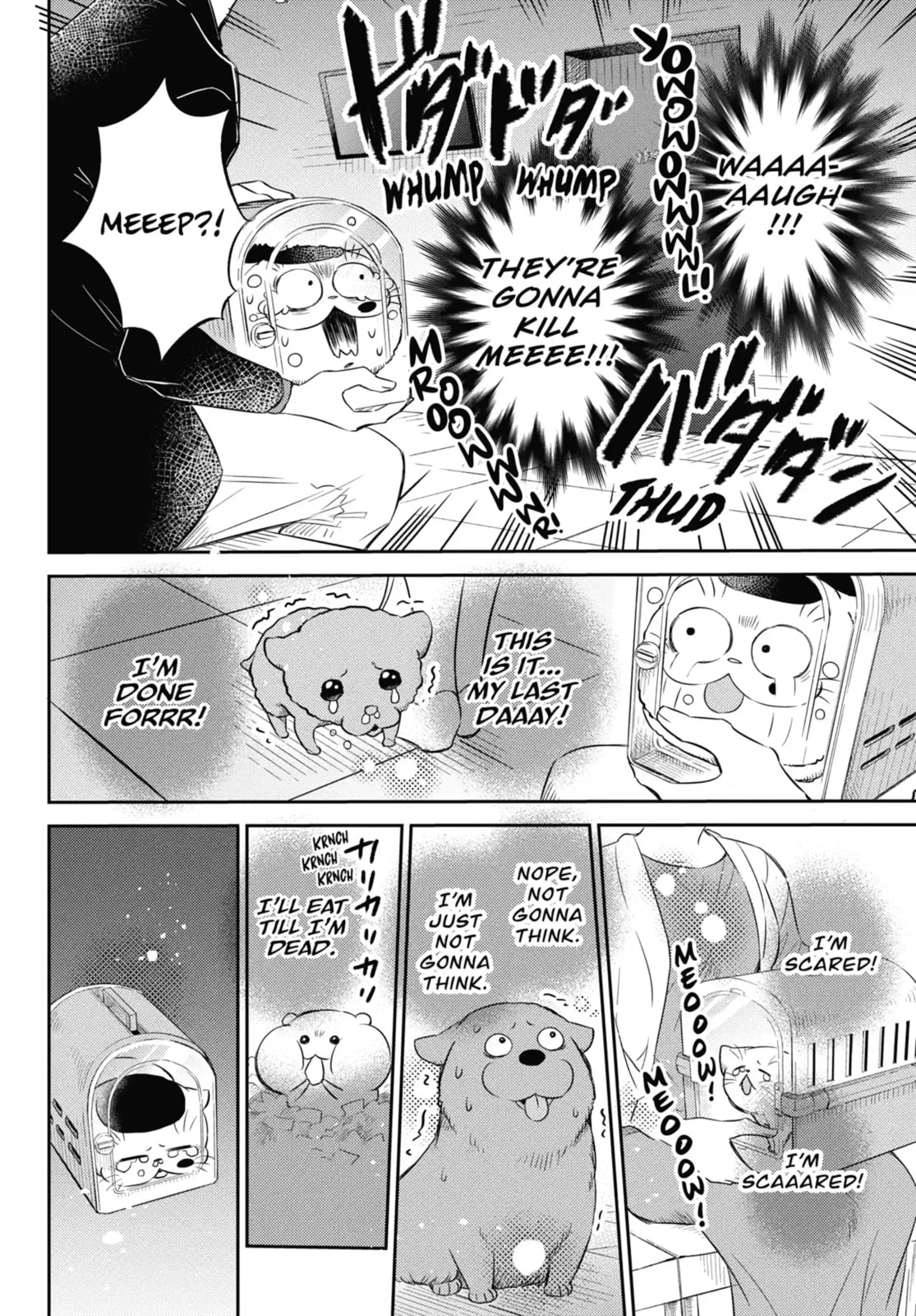 Read A Man and His Cat chapter 81.2 image 0 on Lezhin