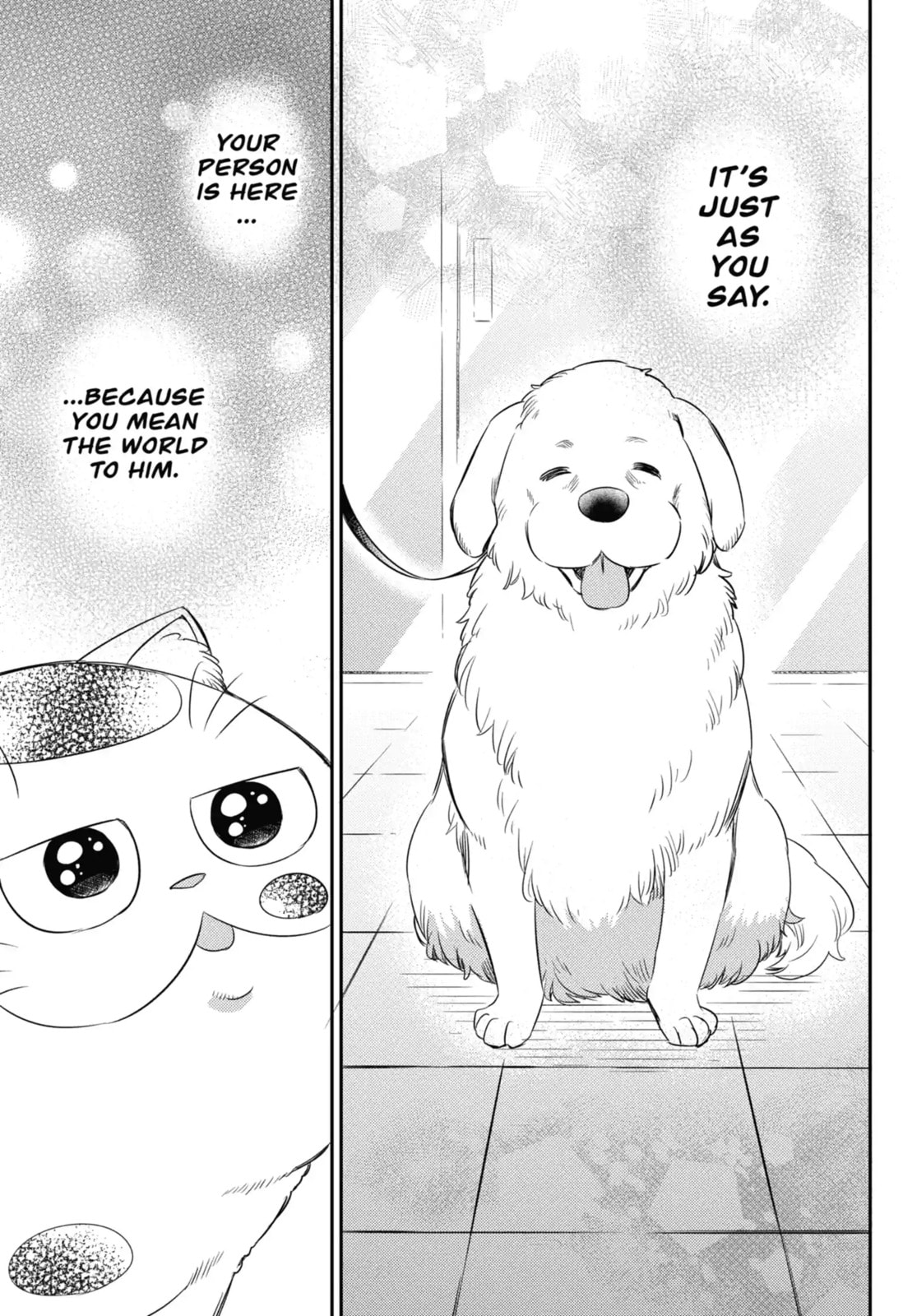 Read A Man and His Cat chapter 81.2 image 3 on Lezhin