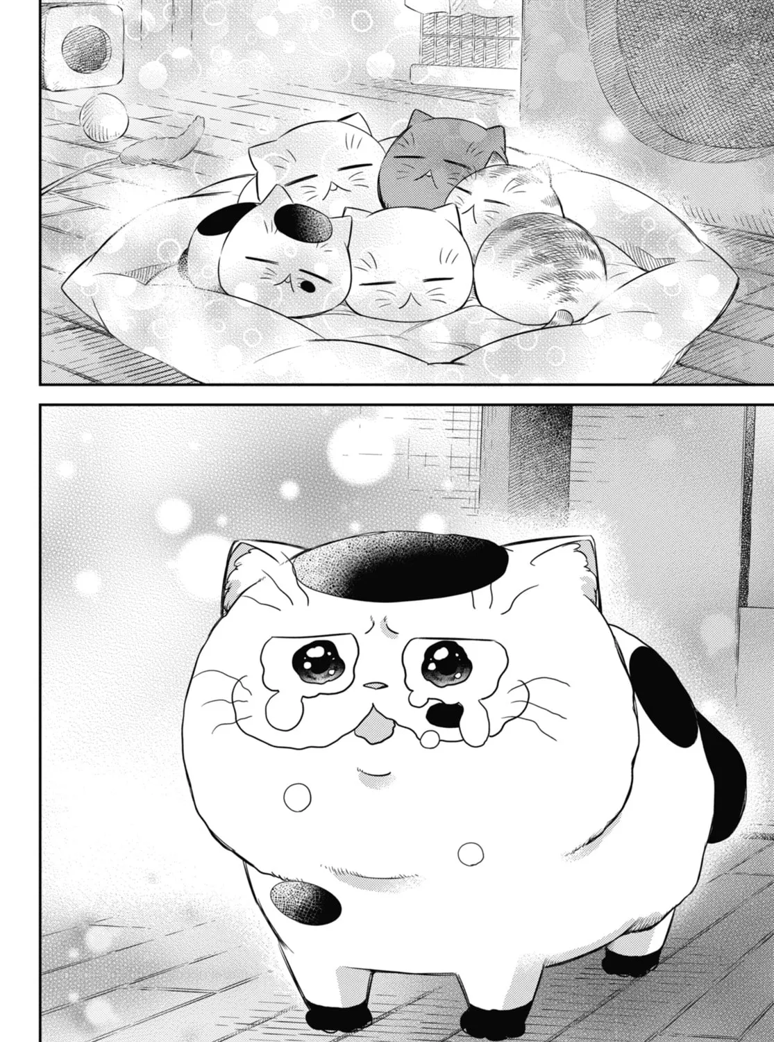 Read A Man and His Cat chapter 82 image 26 on Lezhin