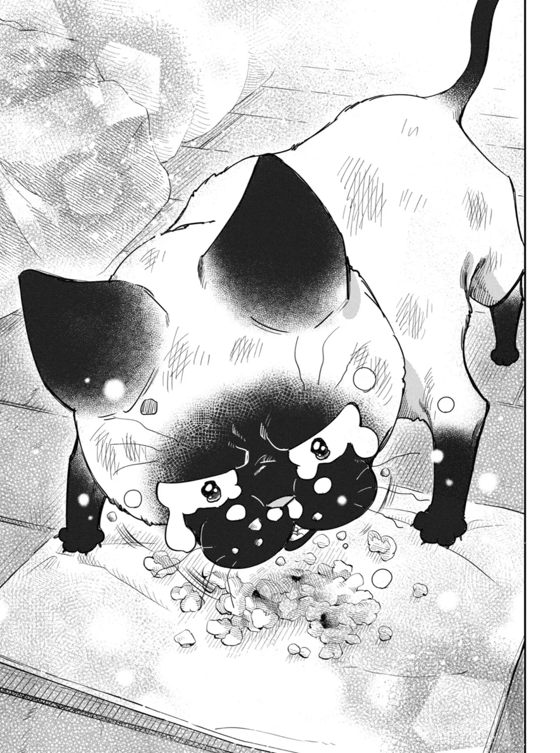 Read A Man and His Cat chapter 86 image 44 on Lezhin