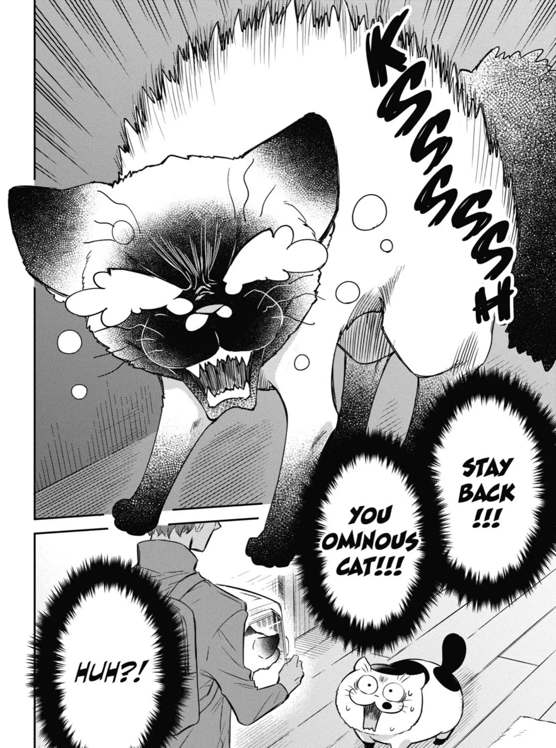 Read A Man and His Cat chapter 88 image 10 on Lezhin