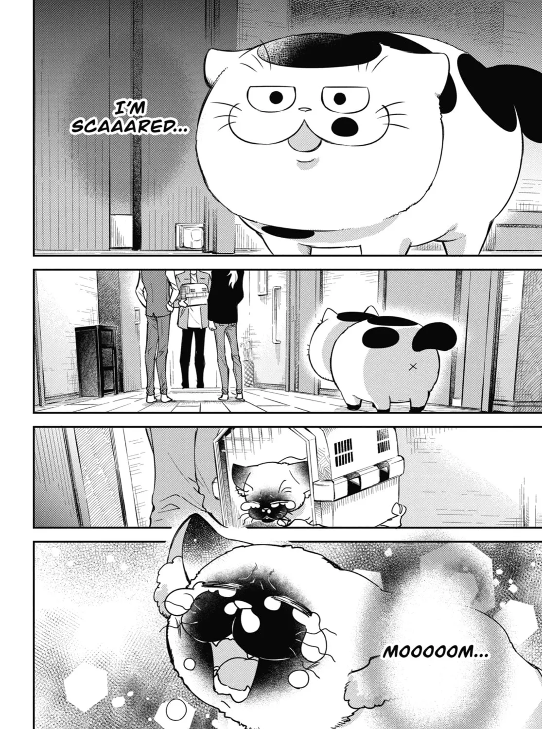 Read A Man and His Cat chapter 88 image 6 on Lezhin