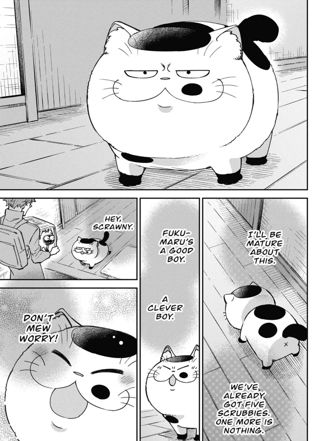 Read A Man and His Cat chapter 88 image 8 on Lezhin