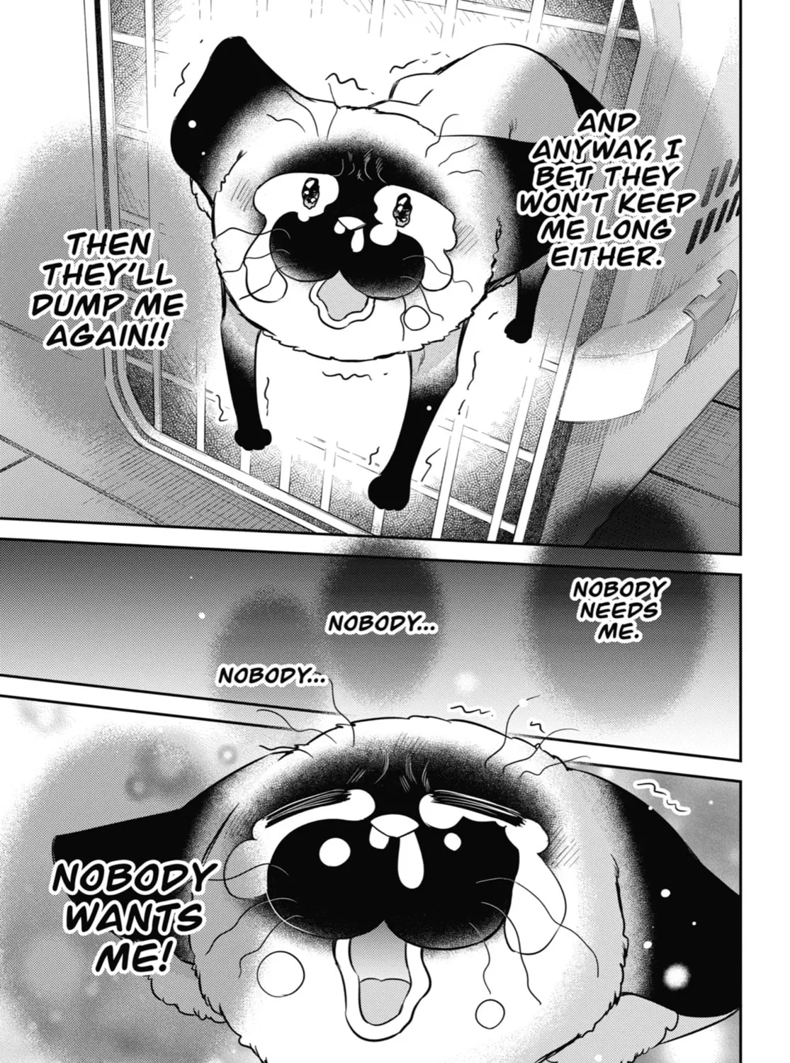 Read A Man and His Cat chapter 91 image 24 on Lezhin