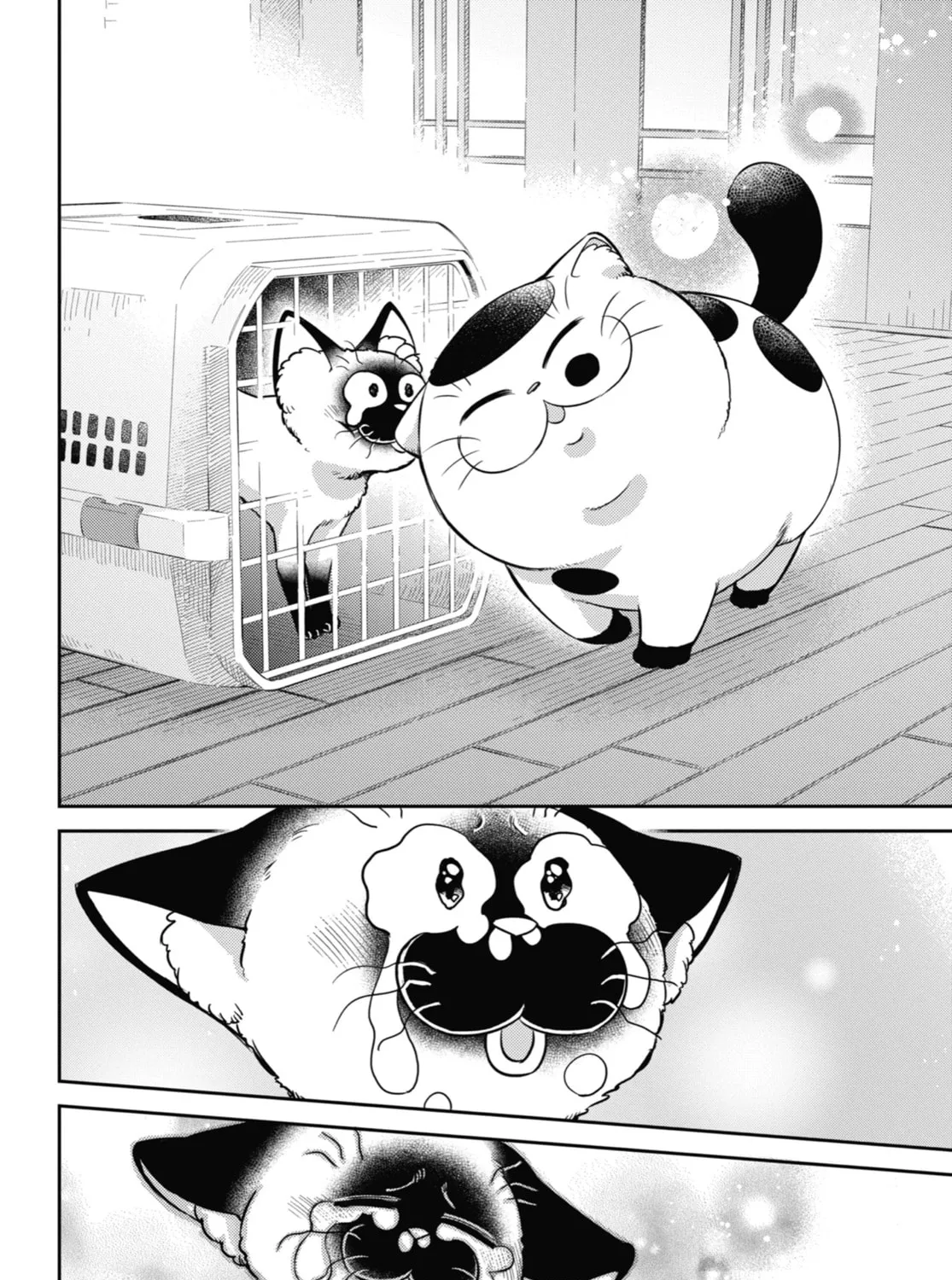 Read A Man and His Cat chapter 91 image 30 on Lezhin