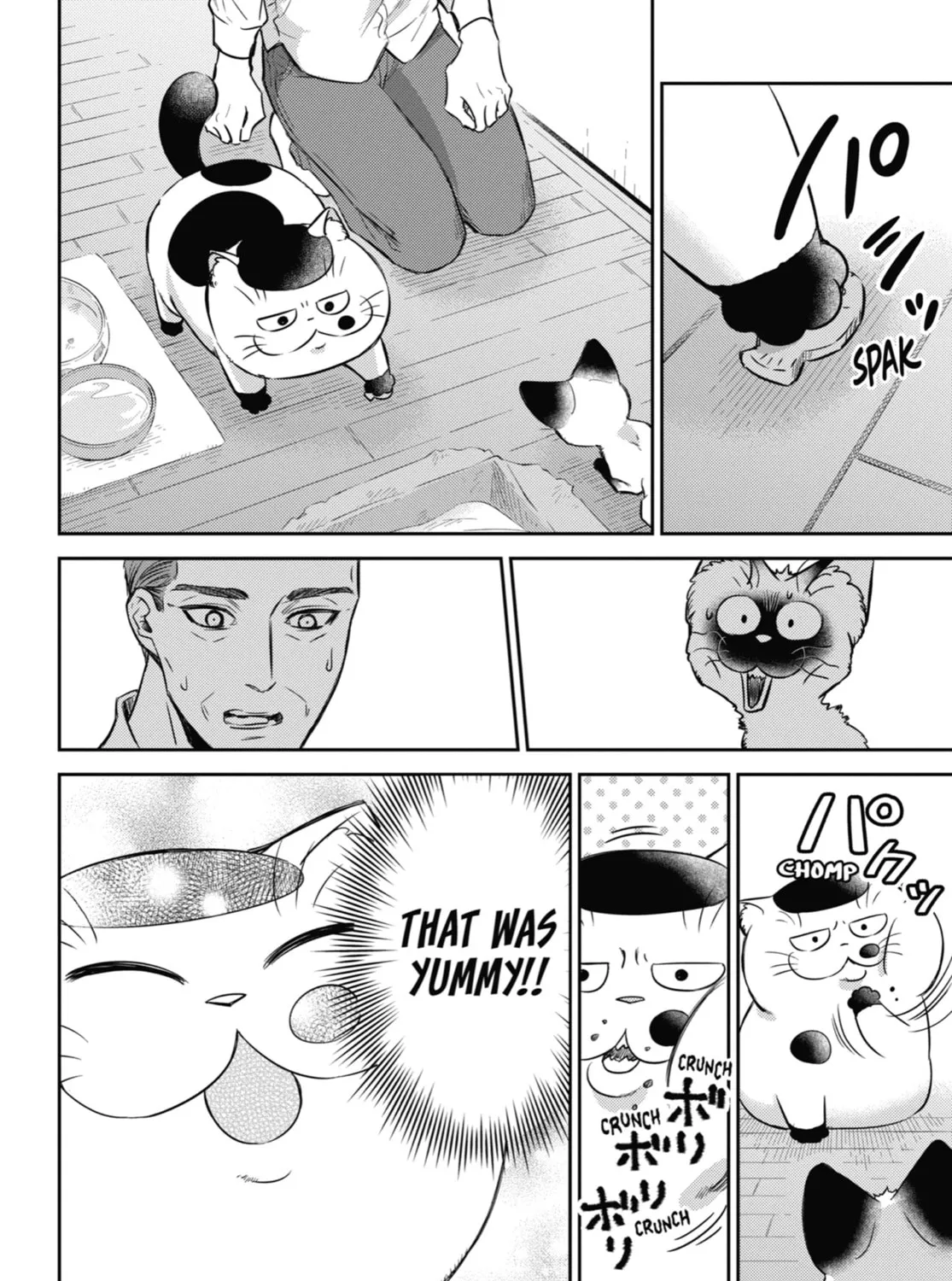 Read A Man and His Cat chapter 91 image 6 on Lezhin