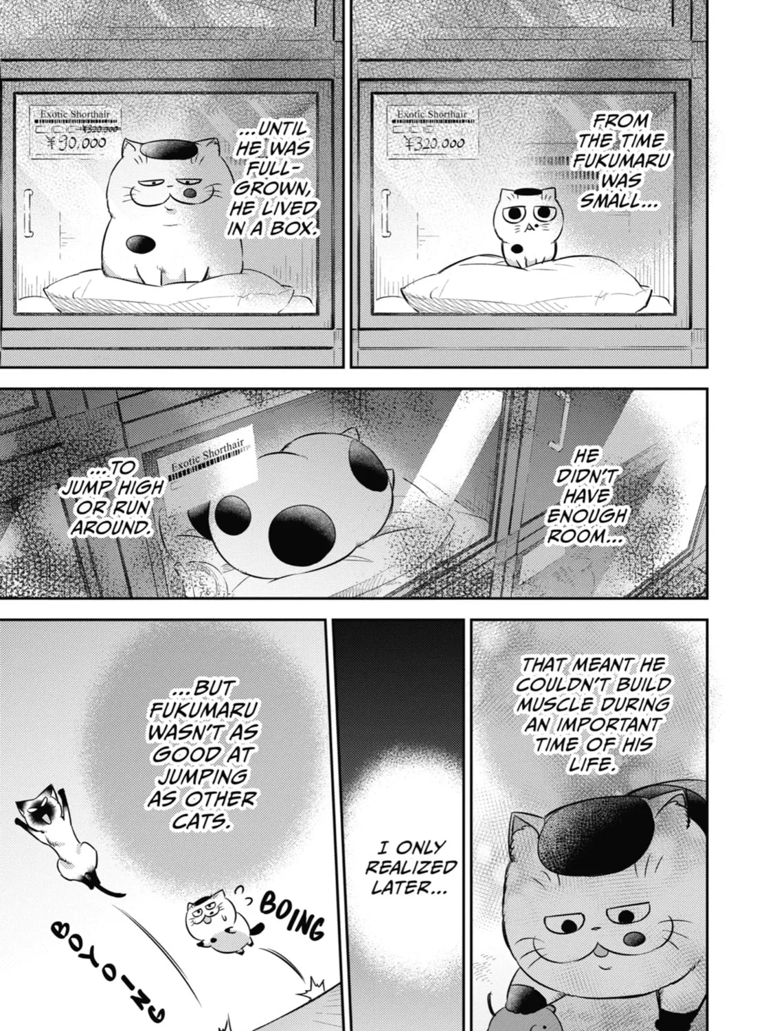 Read A Man and His Cat chapter 98 image 12 on Lezhin