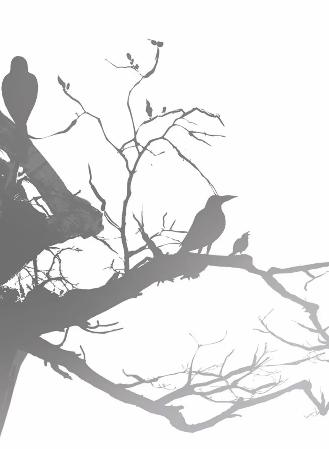 A Man's Man Chapter 247 page 36 - 