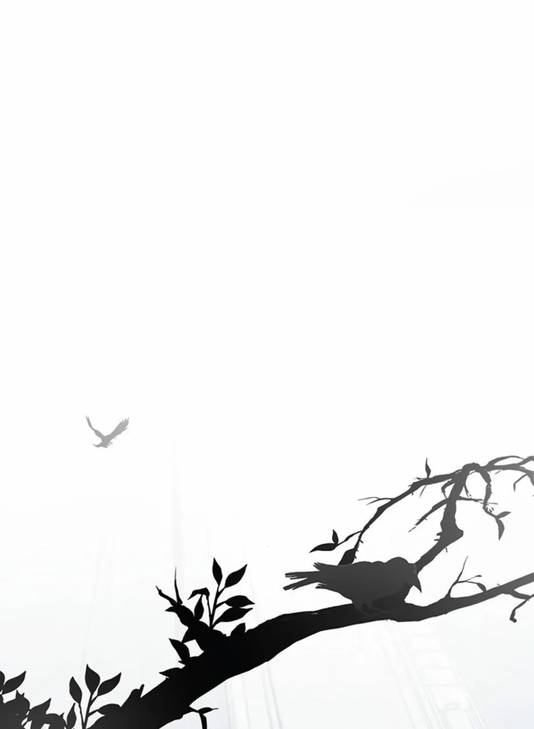 A Man's Man Chapter 247 page 65 - 